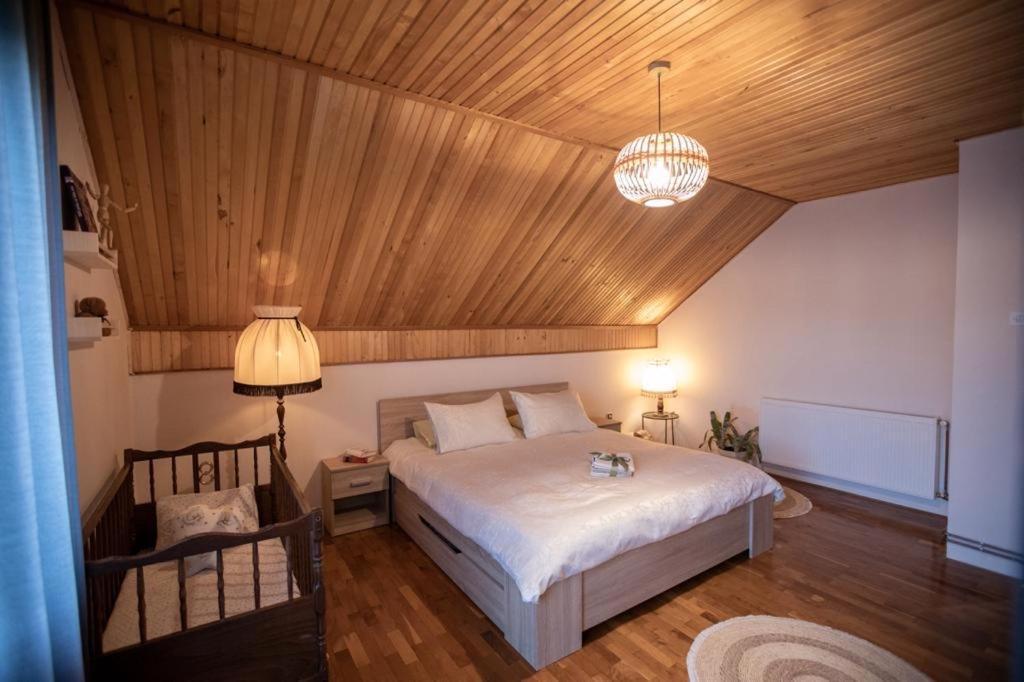 Holiday House On The Riverside Ogulin Luaran gambar